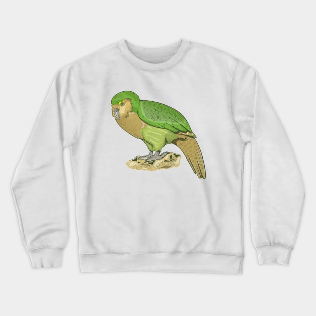 Kakapo Crewneck Sweatshirt by mailboxdisco